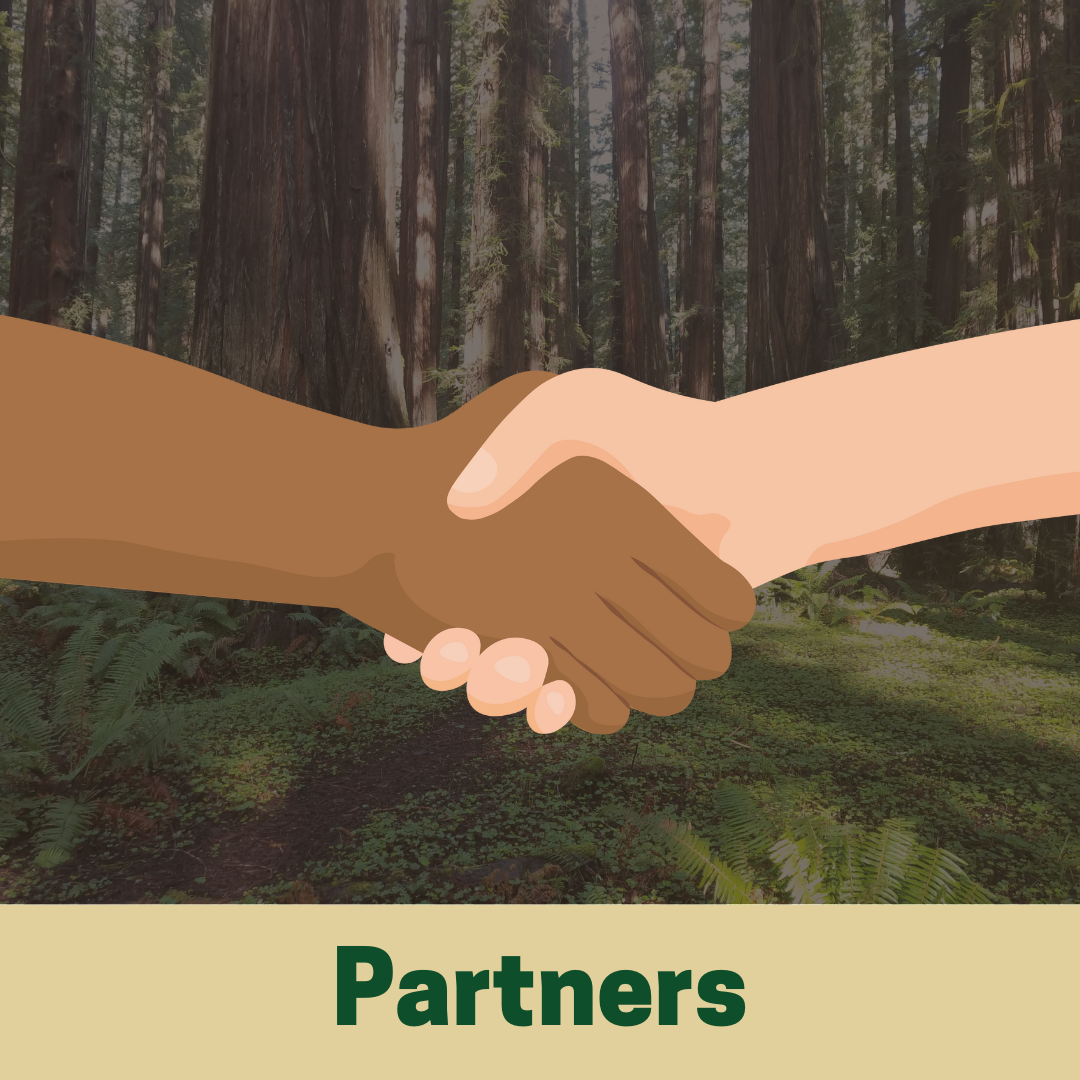 Partners